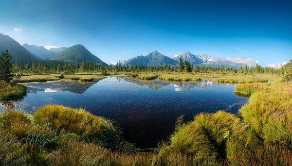Voyages en nouvelle-zélande : aventures et trésors cachés